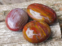 Polished Petrified Wood Galets x 24 From Mahajanga, Madagascar