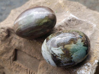 Polished Petrified Wood Galets x 24 From Mahajanga, Madagascar
