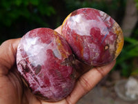 Polished Petrified Wood Galets x 24 From Mahajanga, Madagascar
