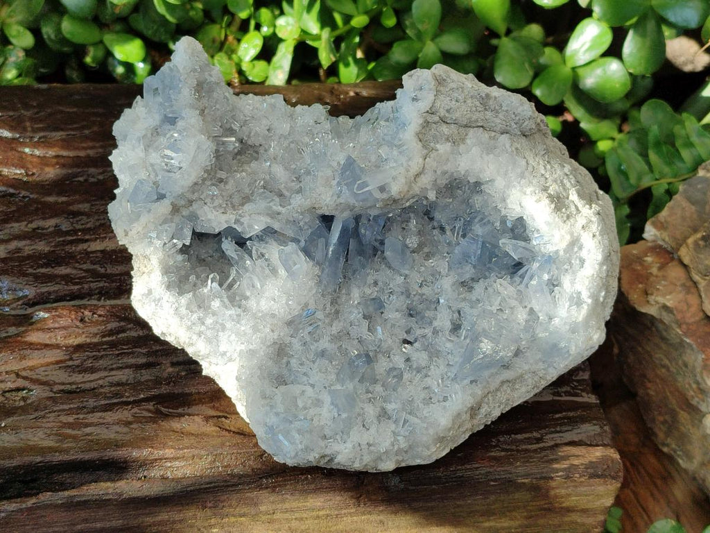 Natural Blue Celestite Geode Specimen x 1 From Sakoany, Madagascar