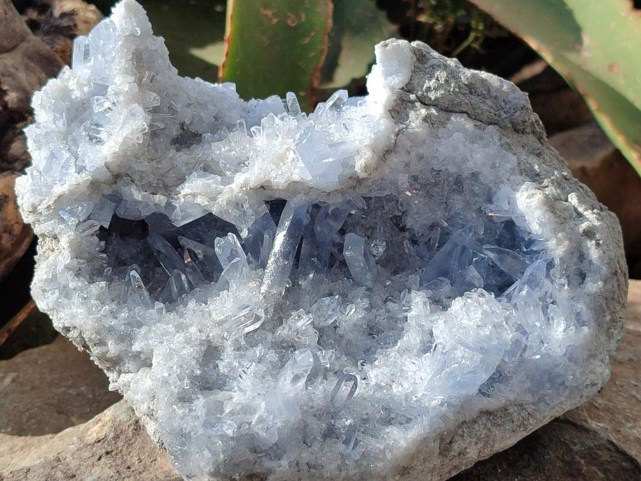 Natural Blue Celestite Geode Specimen x 1 From Sakoany, Madagascar