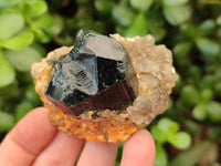 Natural Schorl Black Tourmaline Specimens with Associated Minerals x 12 From Erongo, Namibia