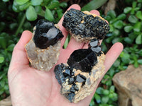 Natural Schorl Black Tourmaline Specimens with Associated Minerals x 12 From Erongo, Namibia