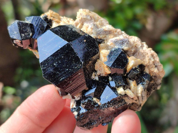 Natural Schorl Black Tourmaline Specimens with Associated Minerals x 12 From Erongo, Namibia