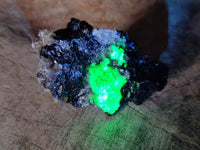 Natural Schorl Black Tourmaline Specimens with Associated Minerals x 12 From Erongo, Namibia