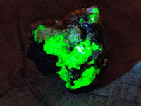 Natural Schorl Black Tourmaline Specimens with Associated Minerals x 12 From Erongo, Namibia