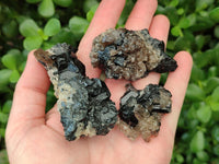 Natural Schorl Black Tourmaline Specimens with Associated Minerals x 12 From Erongo, Namibia