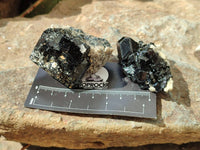 Natural Schorl Black Tourmaline Specimens with Associated Minerals x 12 From Erongo, Namibia