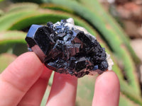 Natural Schorl Black Tourmaline Specimens with Associated Minerals x 12 From Erongo, Namibia