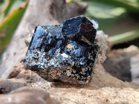 Natural Schorl Black Tourmaline Specimens with Associated Minerals x 12 From Erongo, Namibia