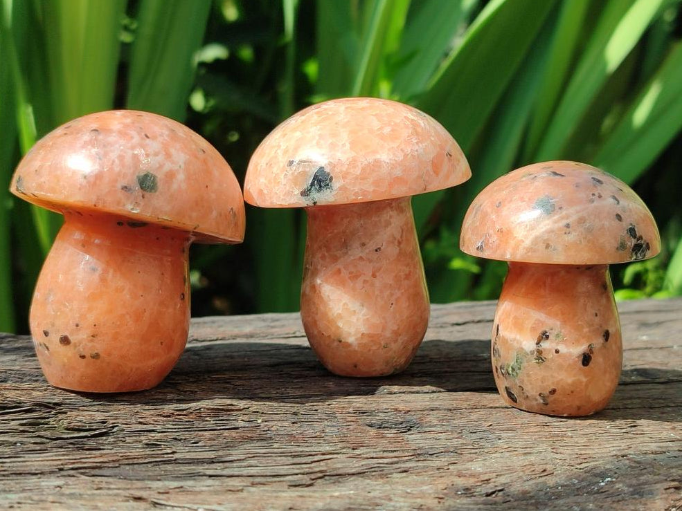 Polished Orange Calcite with Biotite Mushrooms x 12 From Madagascar