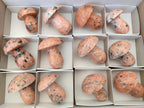 Polished Orange Calcite with Biotite Mushrooms x 12 From Madagascar