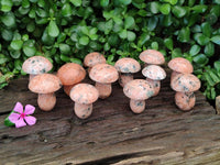 Polished Orange Calcite with Biotite Mushrooms x 12 From Madagascar
