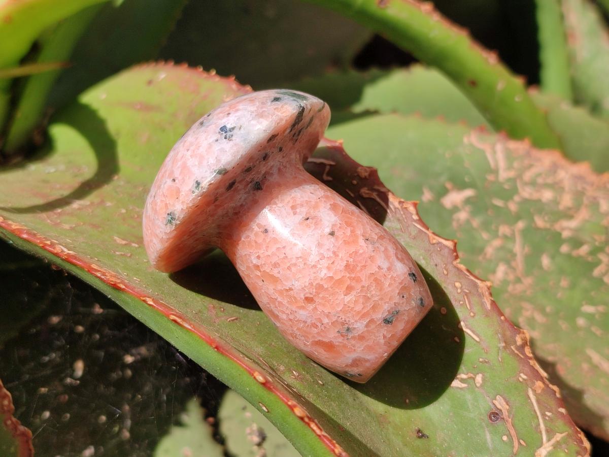 Polished Orange Calcite with Biotite Mushrooms x 12 From Madagascar