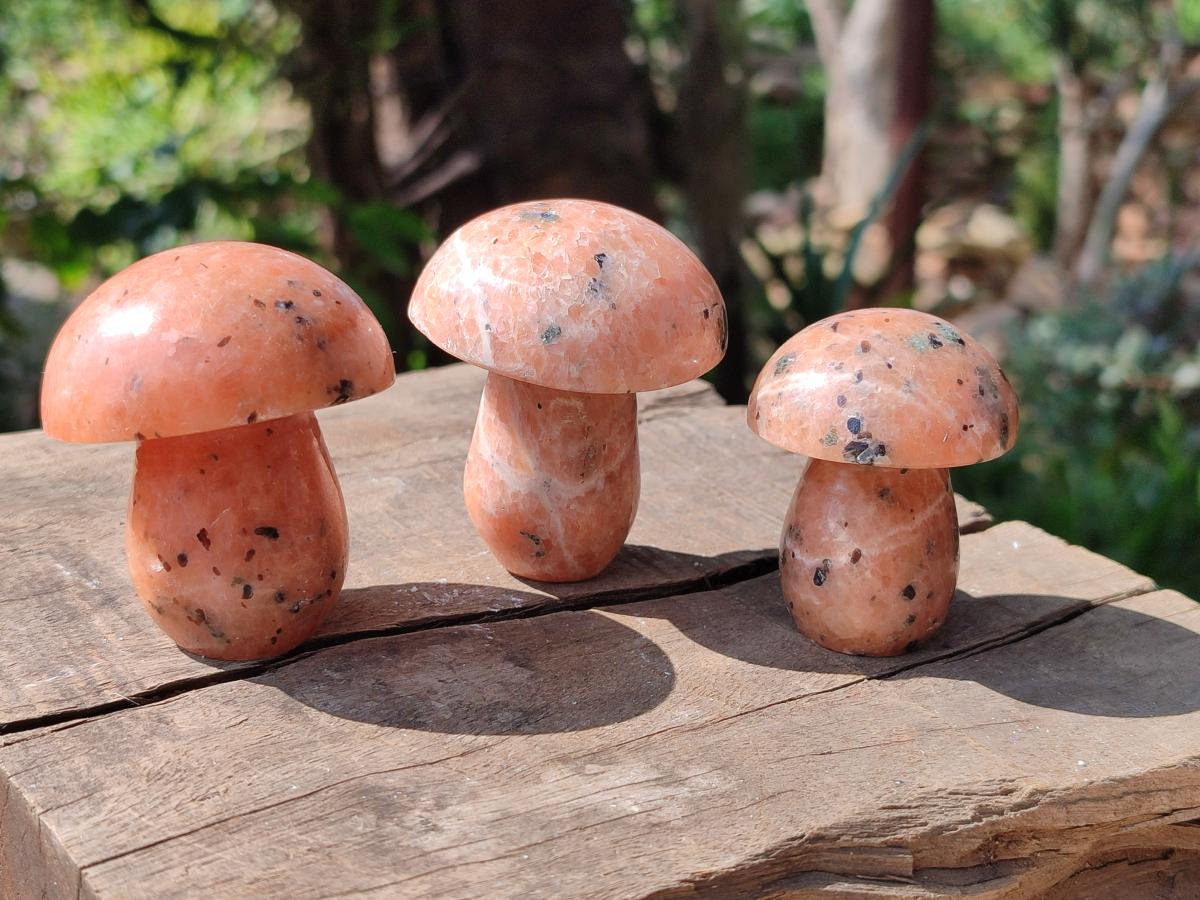Polished Orange Calcite with Biotite Mushrooms x 12 From Madagascar