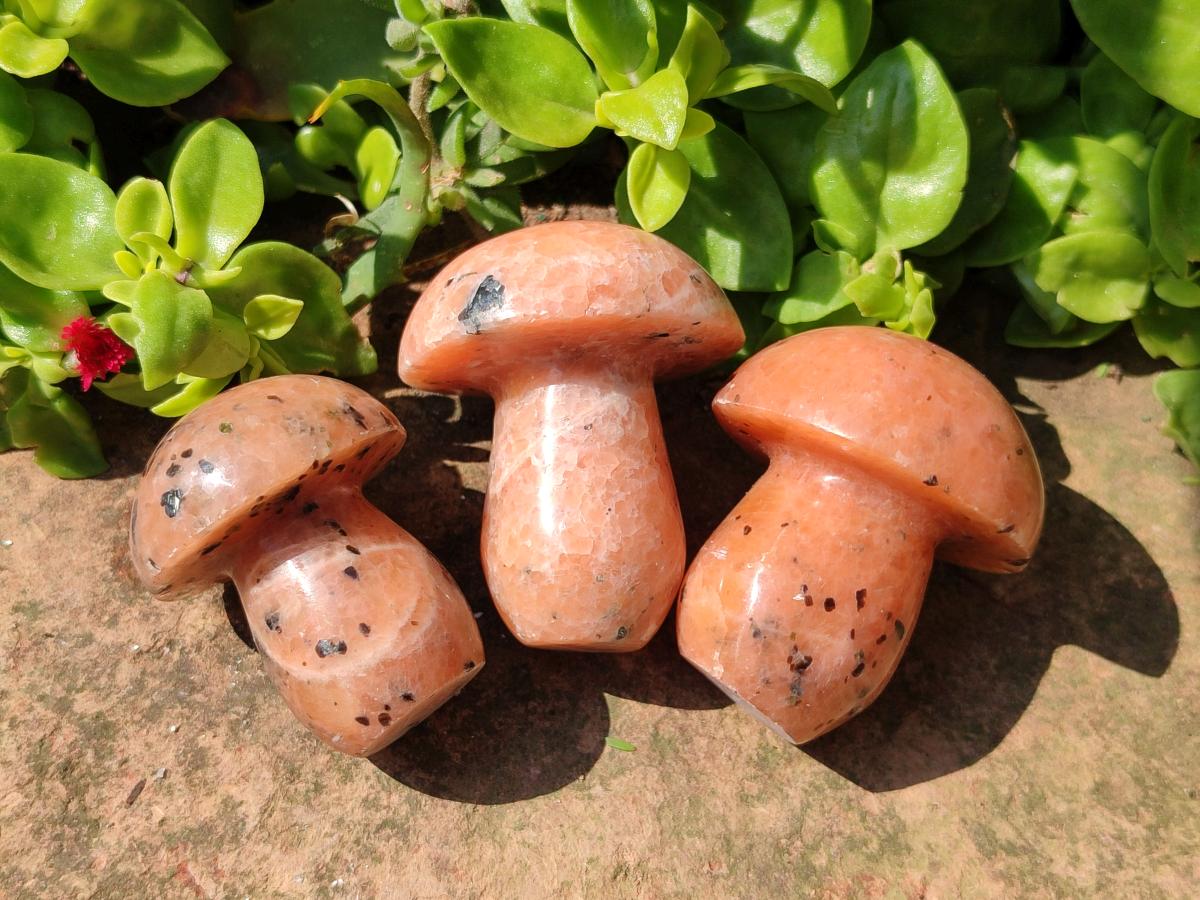 Polished Orange Calcite with Biotite Mushrooms x 12 From Madagascar