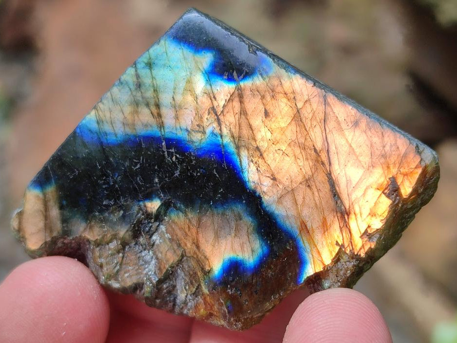 Polished On One Side Labradorite Slices x 35 From Tulear, Madagascar