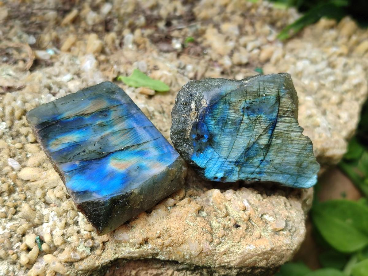 Polished On One Side Labradorite Slices x 35 From Tulear, Madagascar