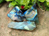 Polished On One Side Labradorite Slices x 35 From Tulear, Madagascar