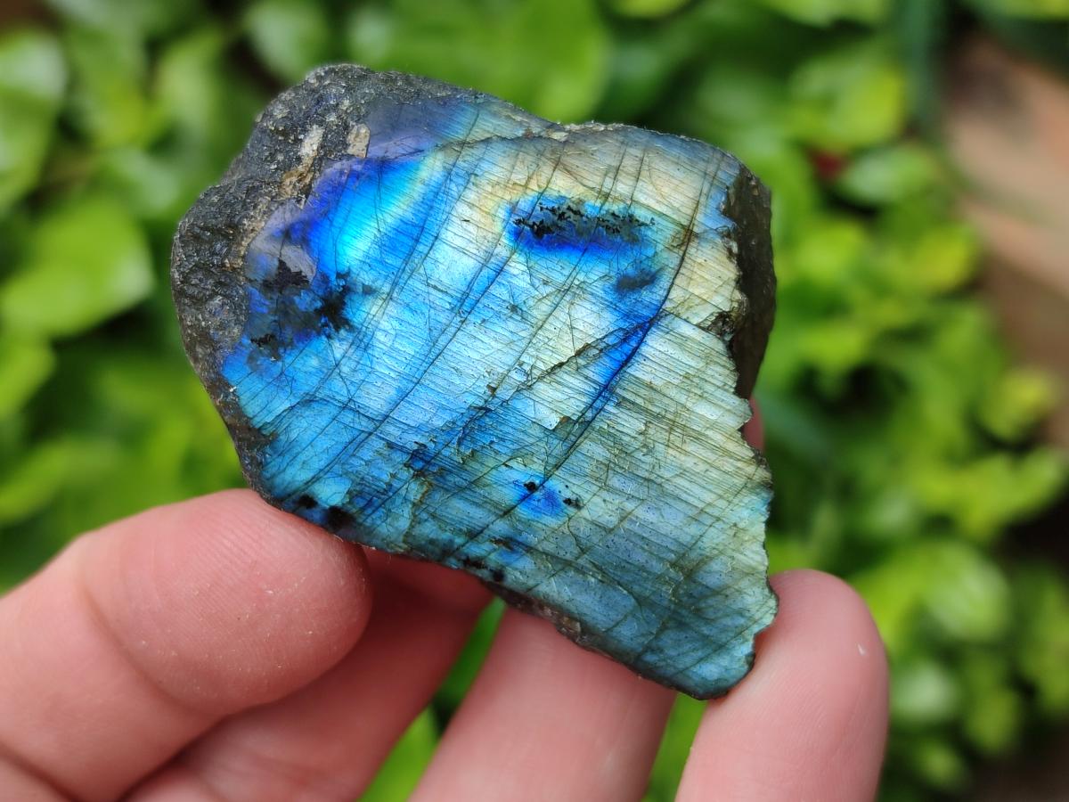 Polished On One Side Labradorite Slices x 35 From Tulear, Madagascar