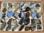 Polished On One Side Labradorite Slices x 35 From Tulear, Madagascar