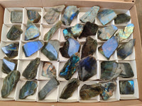 Polished On One Side Labradorite Slices x 35 From Tulear, Madagascar