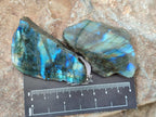 Polished On One Side Labradorite Slices x 35 From Tulear, Madagascar