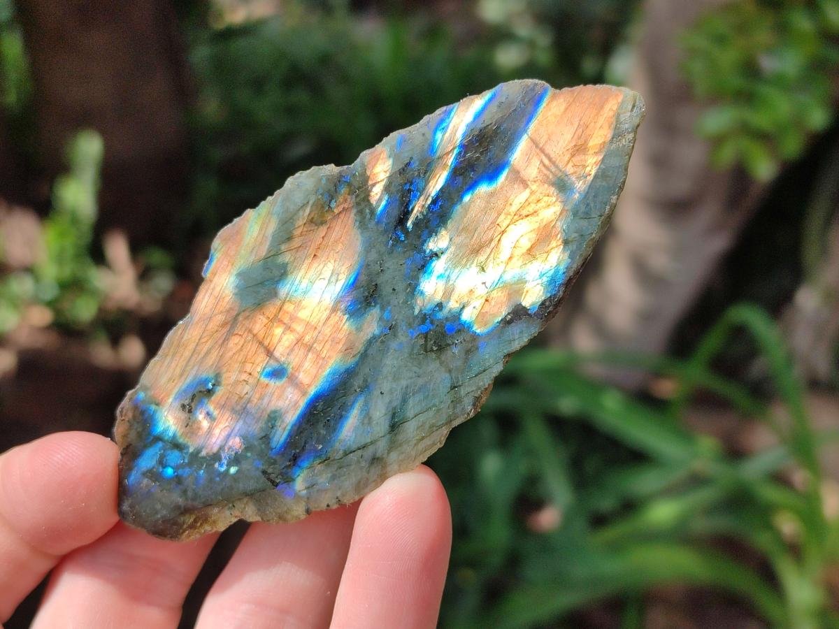 Polished On One Side Labradorite Slices x 35 From Tulear, Madagascar