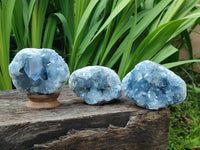 Natural Blue Celestite Specimens x 3 From Sakoany, Madagascar