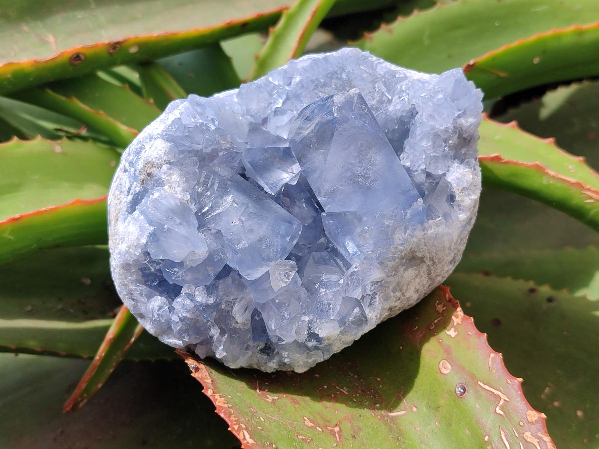 Natural Blue Celestite Specimens x 3 From Sakoany, Madagascar
