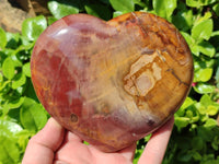 Polished Red Podocarpus Petrified Wood Hearts x 2 From Mahajanga, Madagascar