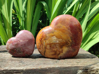 Polished Red Podocarpus Petrified Wood Hearts x 2 From Mahajanga, Madagascar