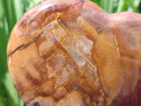 Polished Red Podocarpus Petrified Wood Hearts x 2 From Mahajanga, Madagascar