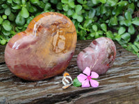 Polished Red Podocarpus Petrified Wood Hearts x 2 From Mahajanga, Madagascar