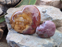 Polished Red Podocarpus Petrified Wood Hearts x 2 From Mahajanga, Madagascar