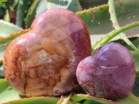 Polished Red Podocarpus Petrified Wood Hearts x 2 From Mahajanga, Madagascar