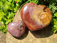 Polished Red Podocarpus Petrified Wood Hearts x 2 From Mahajanga, Madagascar