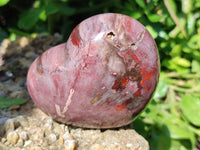 Polished Red Podocarpus Petrified Wood Hearts x 2 From Mahajanga, Madagascar