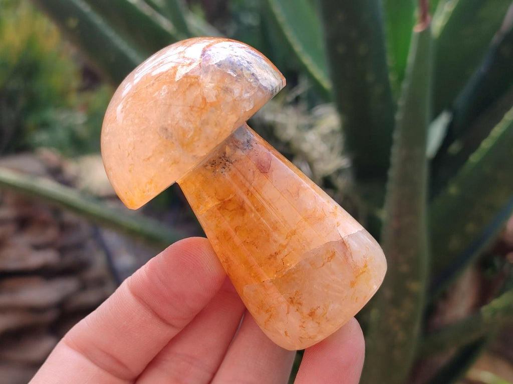 Polished Mixed Selected Multi Mineral Mushrooms x 6 From Madagascar