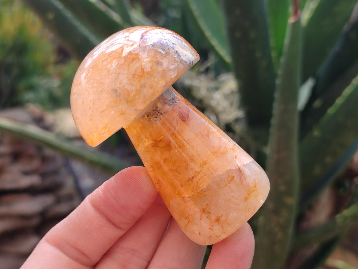 Polished Mixed Selected Multi Mineral Mushrooms x 6 From Madagascar