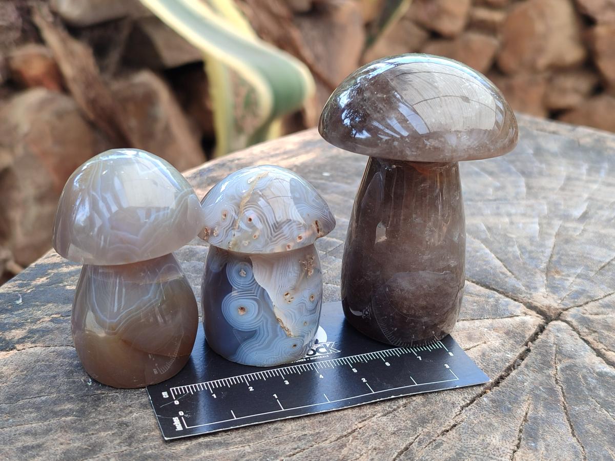 Polished Mixed Selected Multi Mineral Mushrooms x 6 From Madagascar
