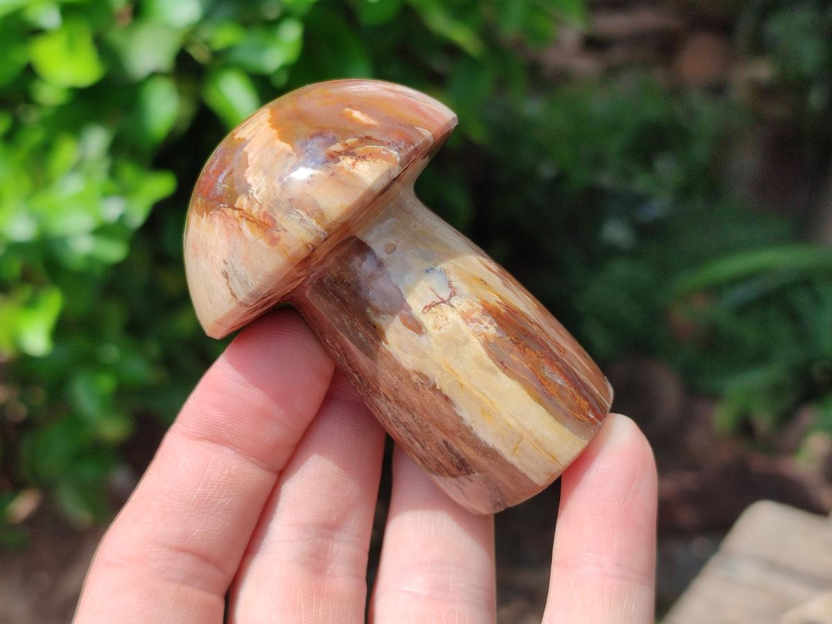 Polished Mixed Selected Multi Mineral Mushrooms x 6 From Madagascar