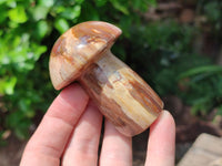 Polished Mixed Selected Multi Mineral Mushrooms x 6 From Madagascar