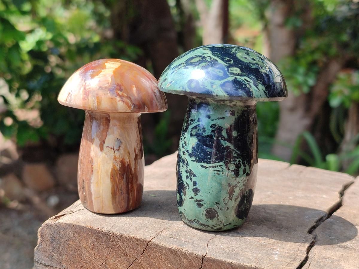 Polished Mixed Selected Multi Mineral Mushrooms x 6 From Madagascar