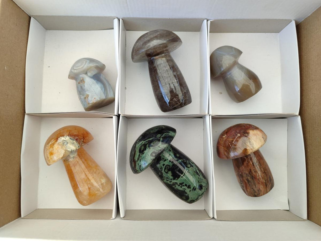 Polished Mixed Selected Multi Mineral Mushrooms x 6 From Madagascar