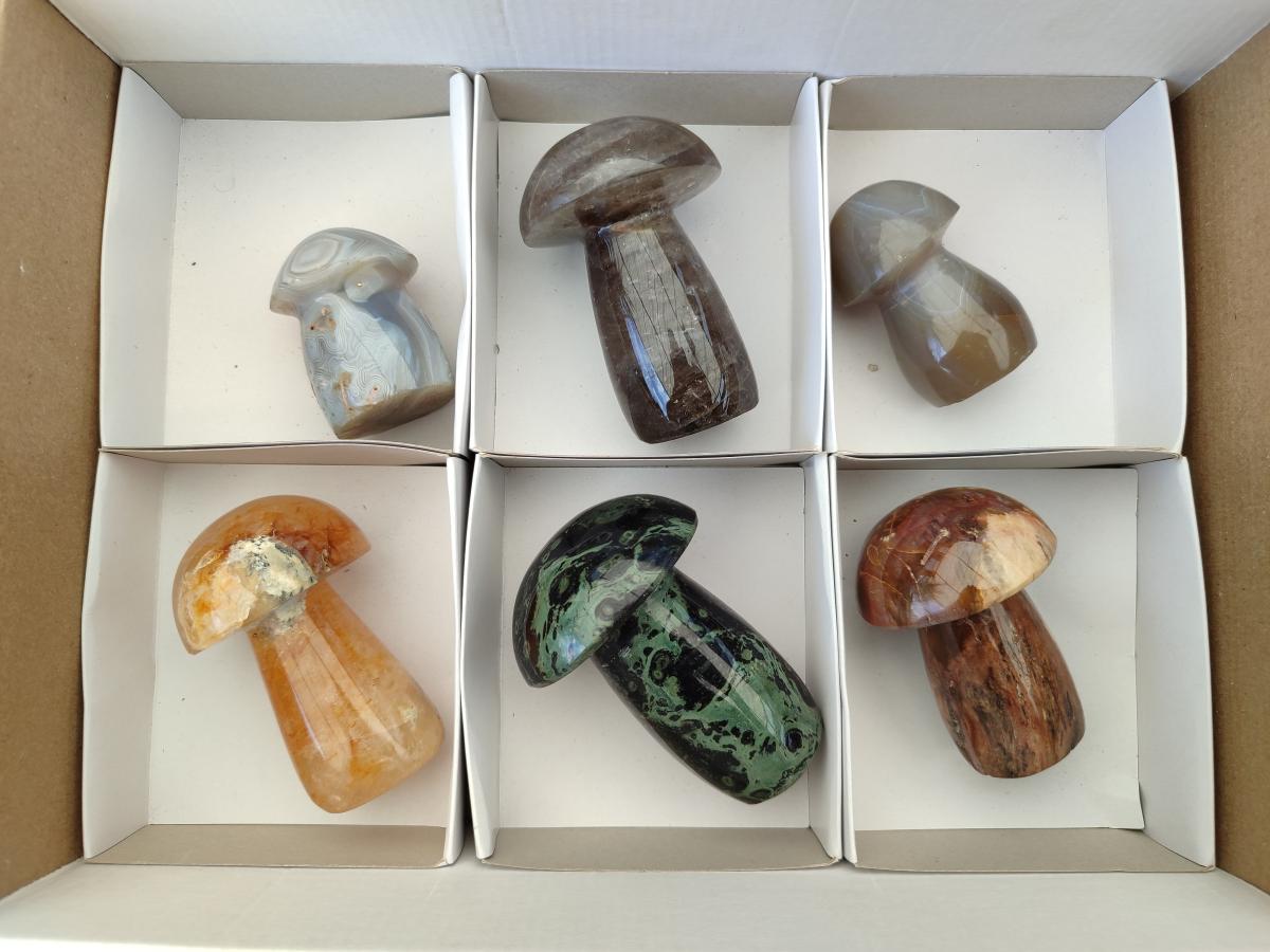 Polished Mixed Selected Multi Mineral Mushrooms x 6 From Madagascar