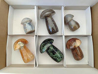 Polished Mixed Selected Multi Mineral Mushrooms x 6 From Madagascar