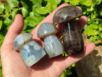 Polished Mixed Selected Multi Mineral Mushrooms x 6 From Madagascar