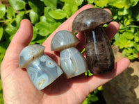 Polished Mixed Selected Multi Mineral Mushrooms x 6 From Madagascar