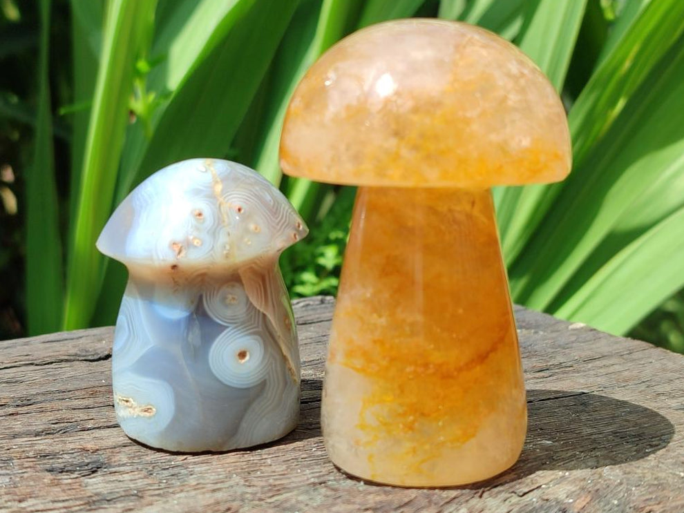 Polished Mixed Selected Multi Mineral Mushrooms x 6 From Madagascar